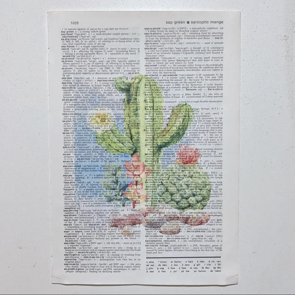 Dictionary Art Print Cactus Succulent Desert, Vintage Art Print